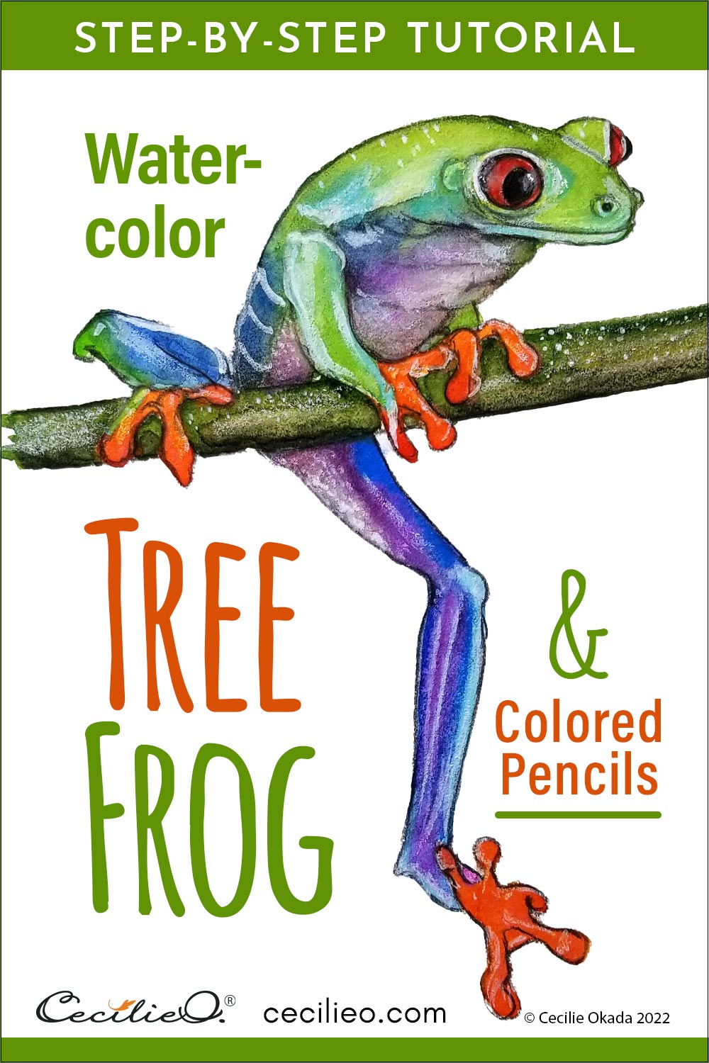 Play blending colors in this watercolor tree frog tutorial. Be creative and leapfrog your current watercolor skills. Splash o