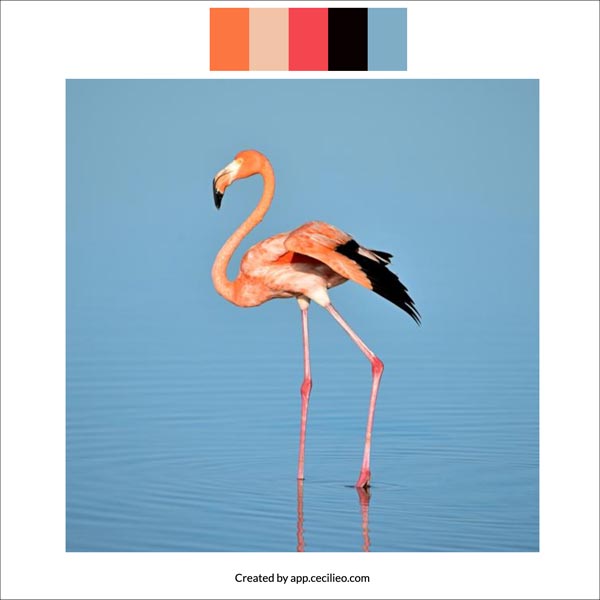 Color swatches from the reference photo.