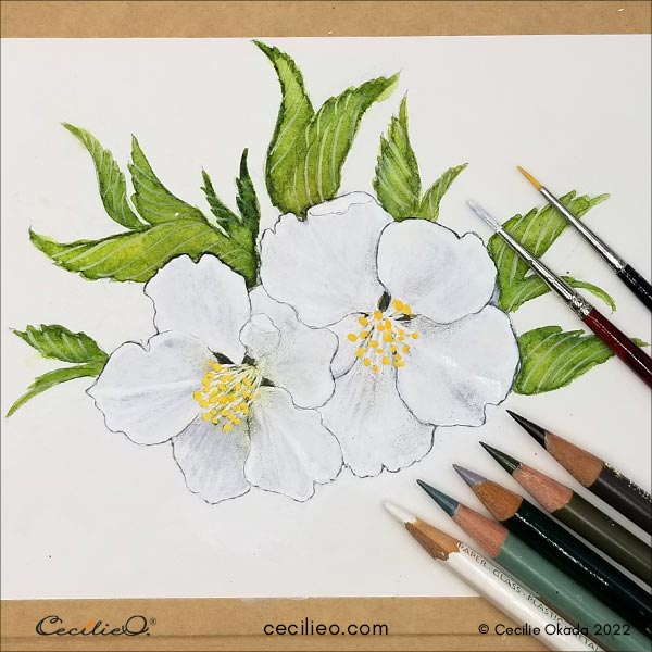 Drawing shadows with colored pencils.