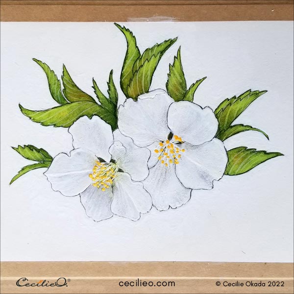 The finished cherry blossom watercolor, completed with a little help from colored pencils. 