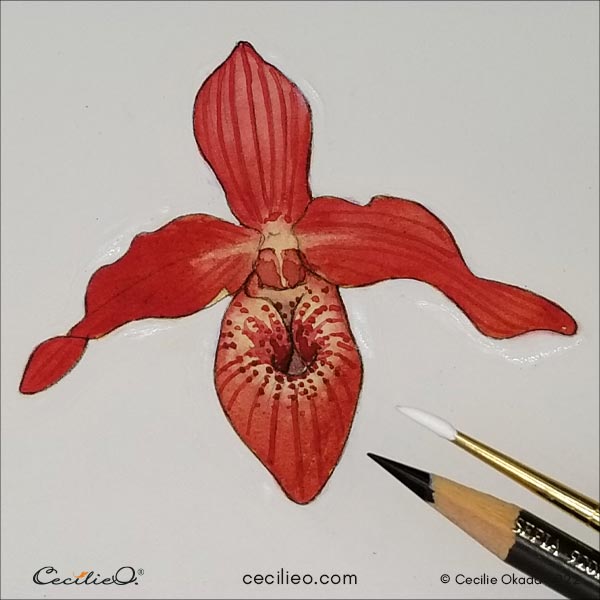 Tidying up the flower with a clean outline and white gouache outside it.