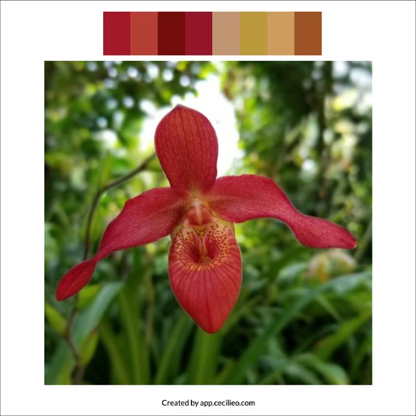 Color palette picked up with palette generator for artists.