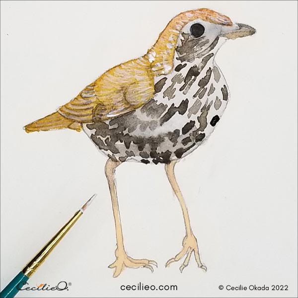 Painting the feather pattern with thin, white gouache lines.