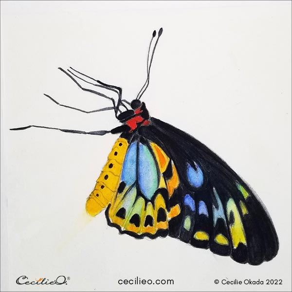 I painted over the watercolor pencil marks with regular watercolor.