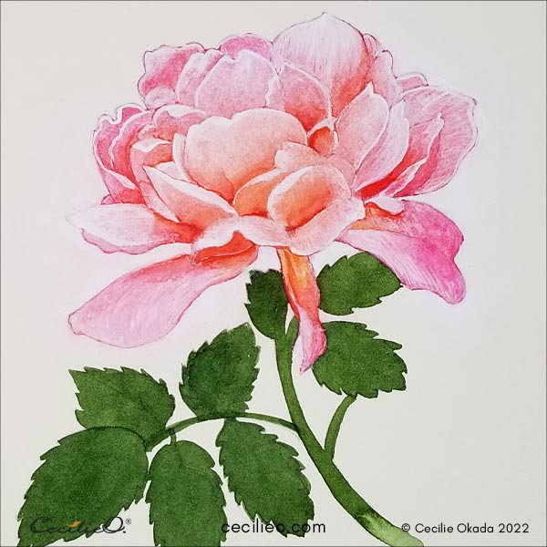 Paint the shadows with vivid watercolor.