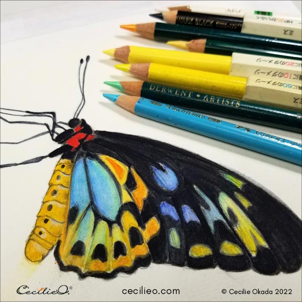 Final touches with regular, dry colored pencils.