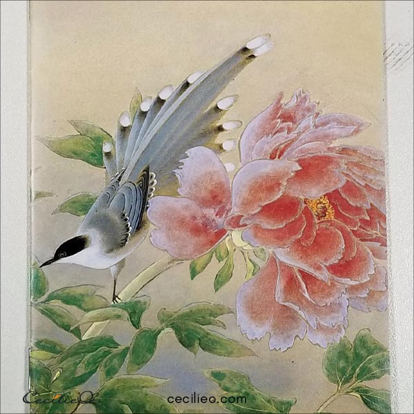 Photo of brochure with Japanese painting of peony by Sakakibara Shiho.