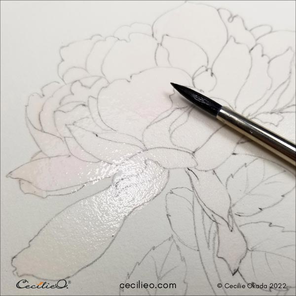 Paint the whole flower head with plain water first.