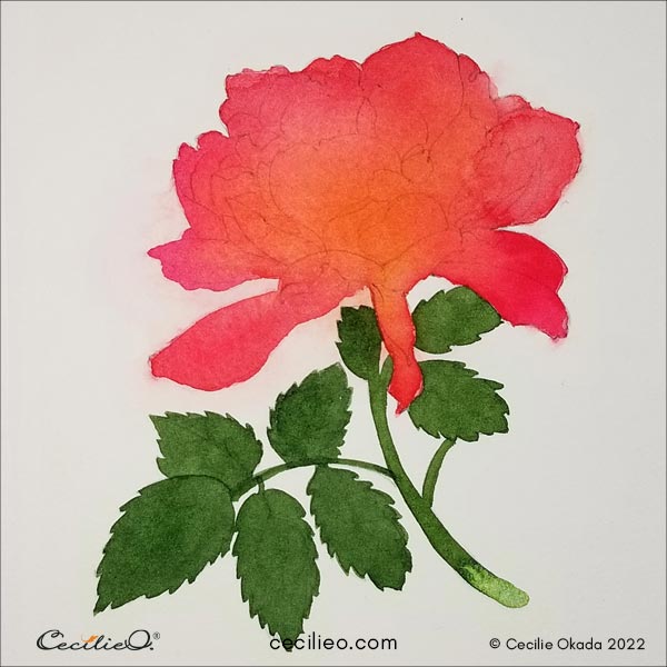A second layer of watercolor for the flower, and green for the leaves and stem.