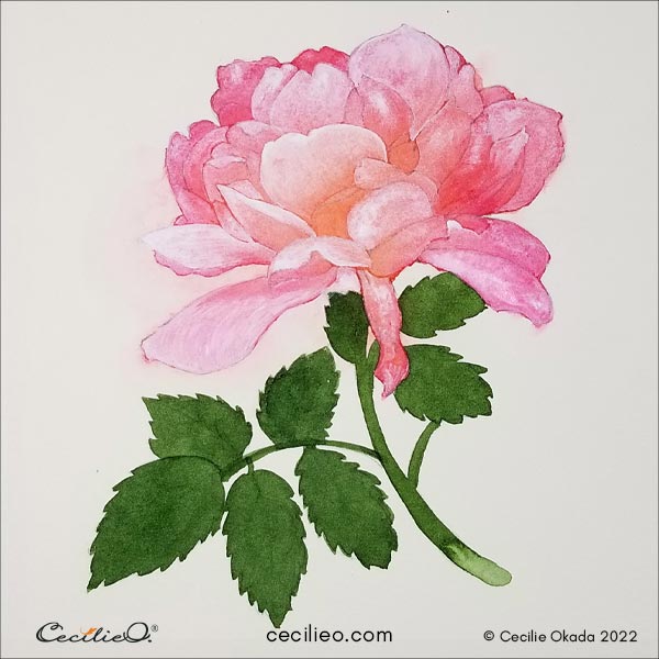 The whole flower has been painted with white gouache.