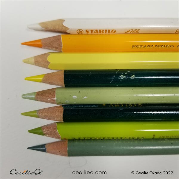 Using colored pencils to enhance  details on the flower.