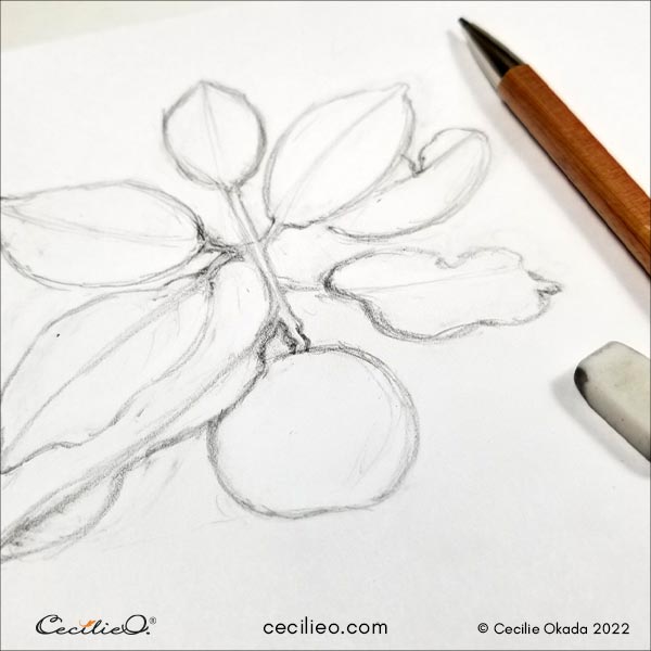 Sketching the orange branch.