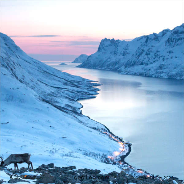 Reference photo of a Norwegian fjord surrounded by mountains.
