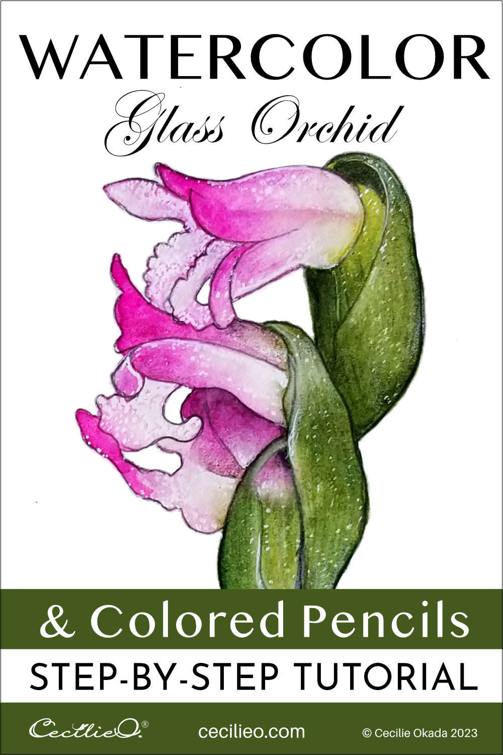 How to Watercolor the Amazing Glass Orchid