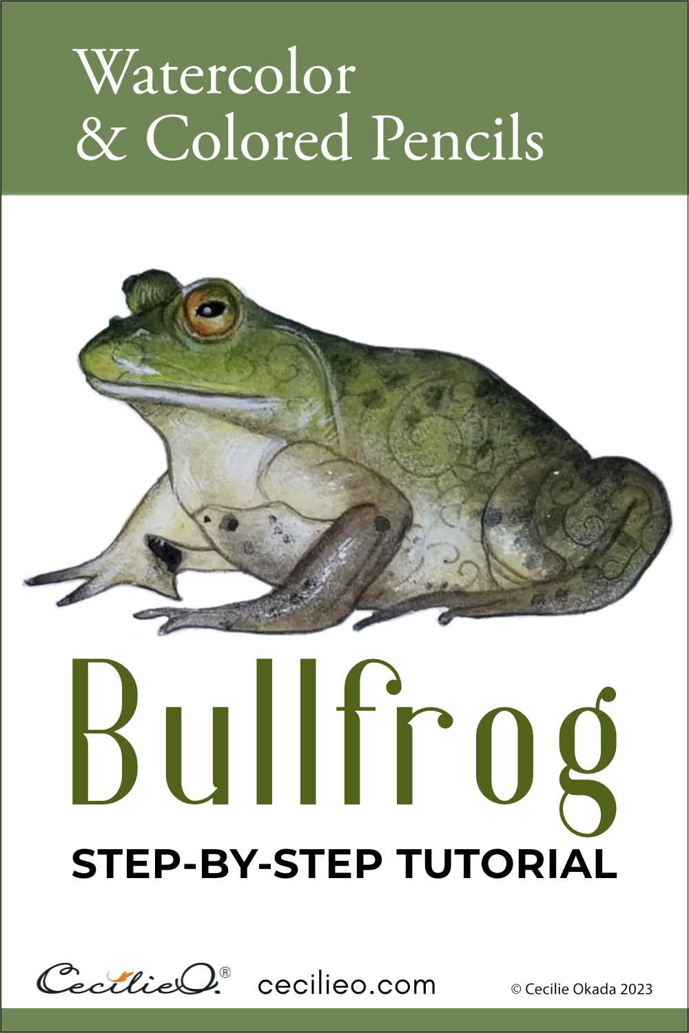 Learn realistic watercolor painting with the roundish bullfrog. Practice gradients with its green-brown-beige hues. Step-by-s