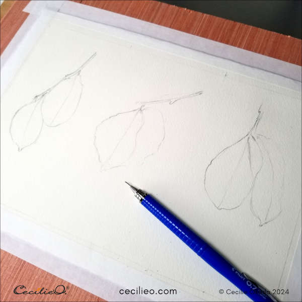 Drawing of leave lined up.