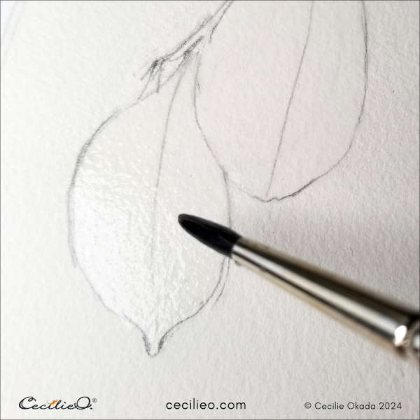 Painting the leaves with water before adding watercolors.