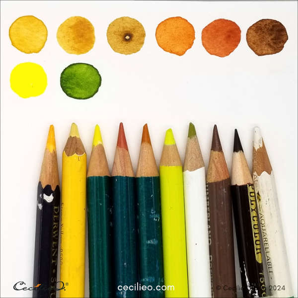 The watercolors and colored pencils used for this tutorial.