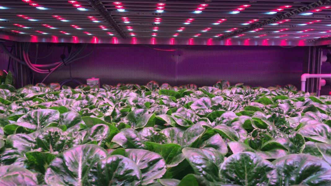 How 3D Printing, Vertical Farming, and Materials Science Are Overhauling Food