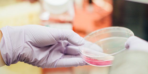 🔬 This could be the cure for cancer