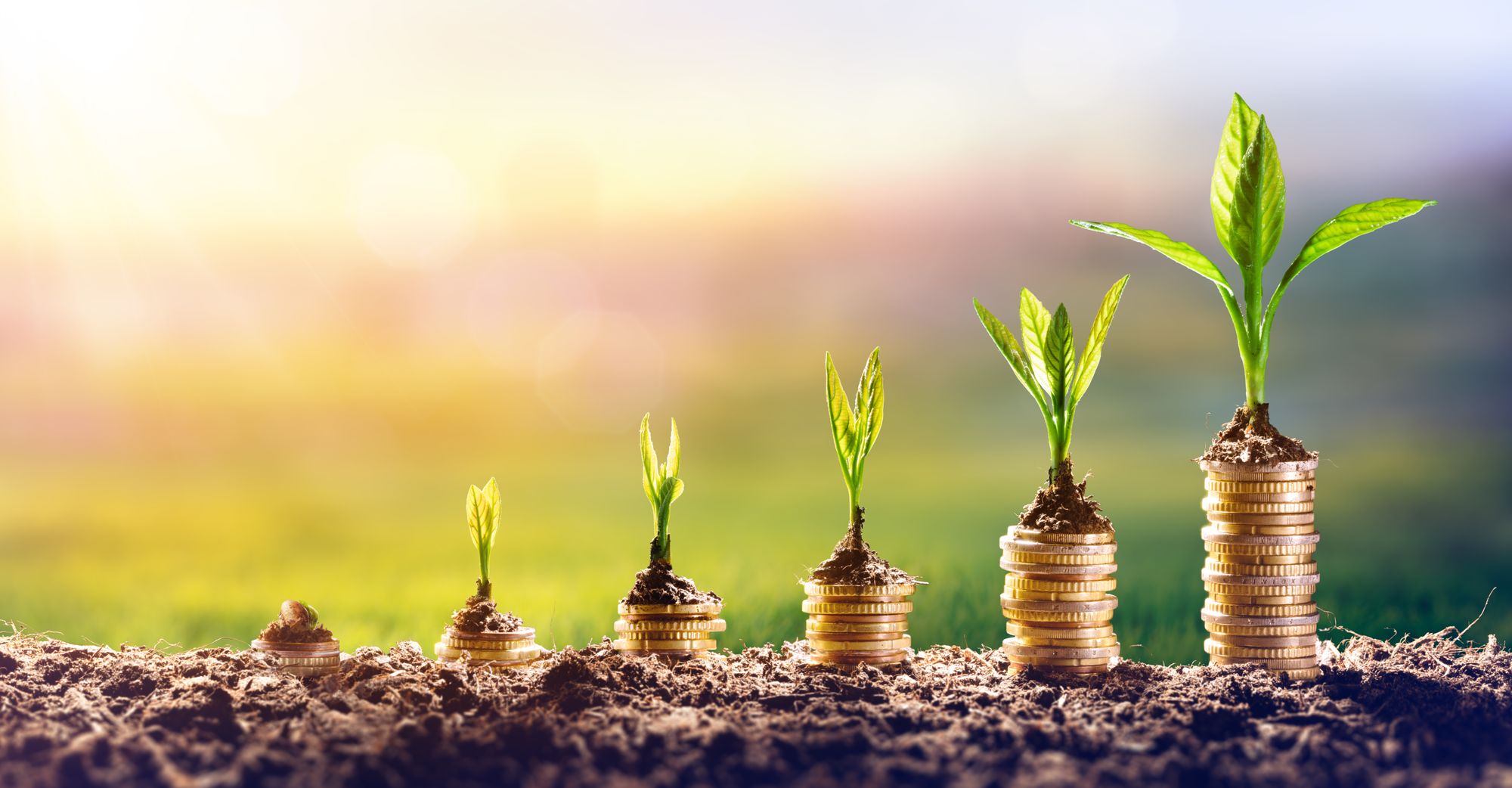 💰 The world's largest asset manager puts sustainability at the center of finance