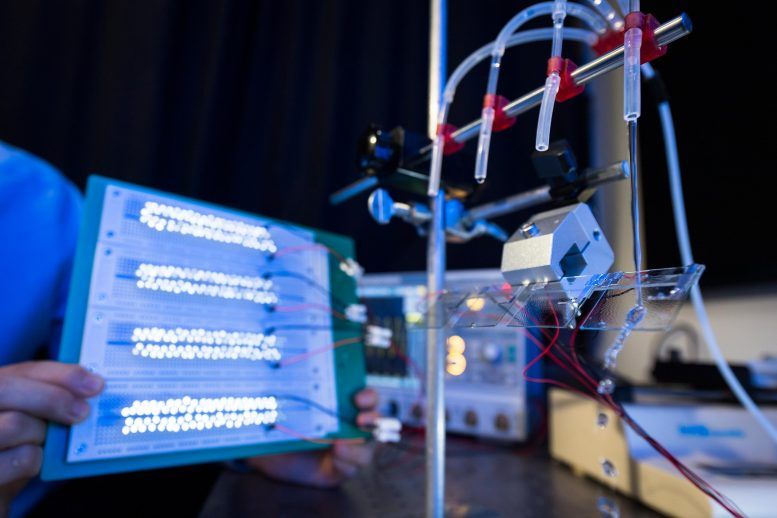 💧 💡 Powering 100 small LED lights from a single drop of water