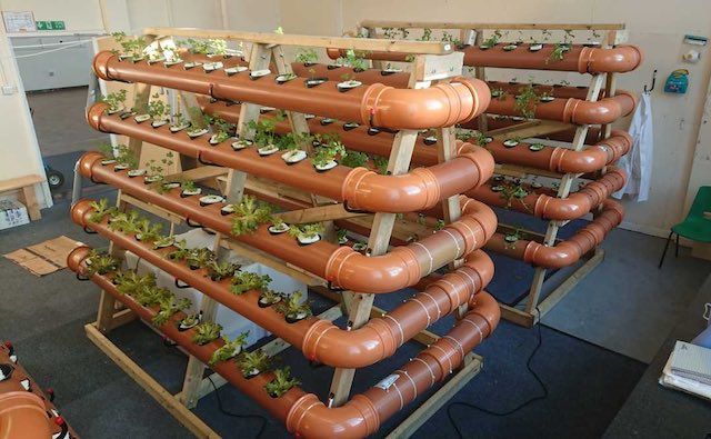 🍅 Growing crops in the desert using discarded mattresses