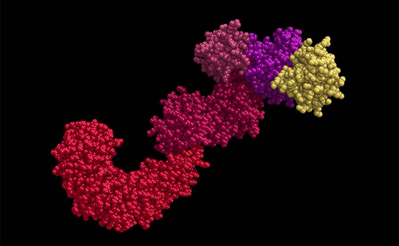 🧬 Scientists find molecular ‘Switch’ that could lead to treatments for all kinds of disease by reversing inflammation and aging