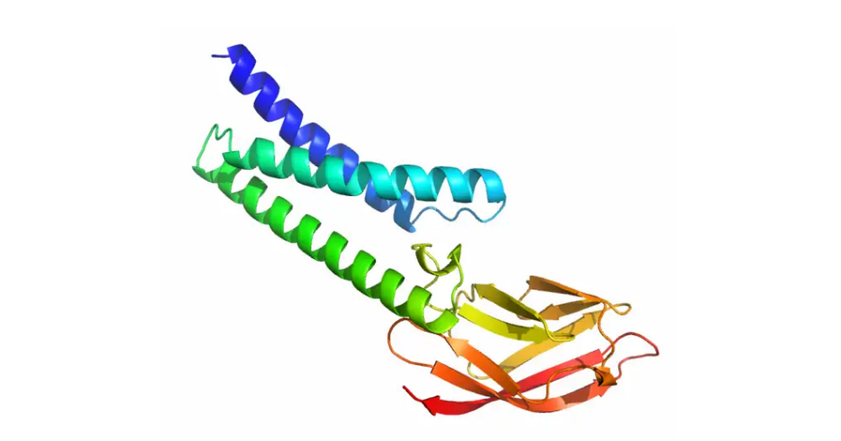 🧬 Google's super AI helps scientists understand the coronavirus