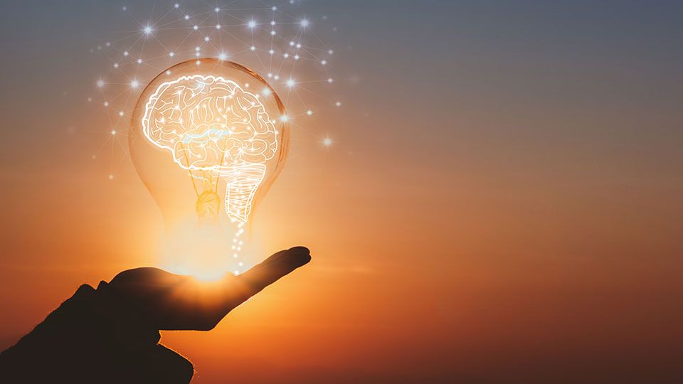 💡 Optimist's Edge