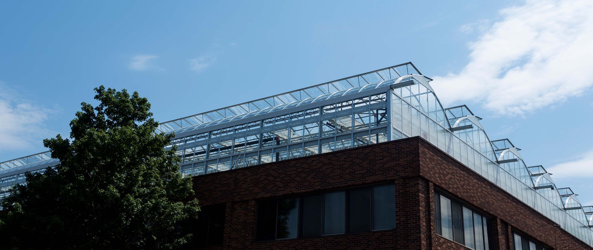 Rooftop greenhouses can feed two percent of Montreal's population