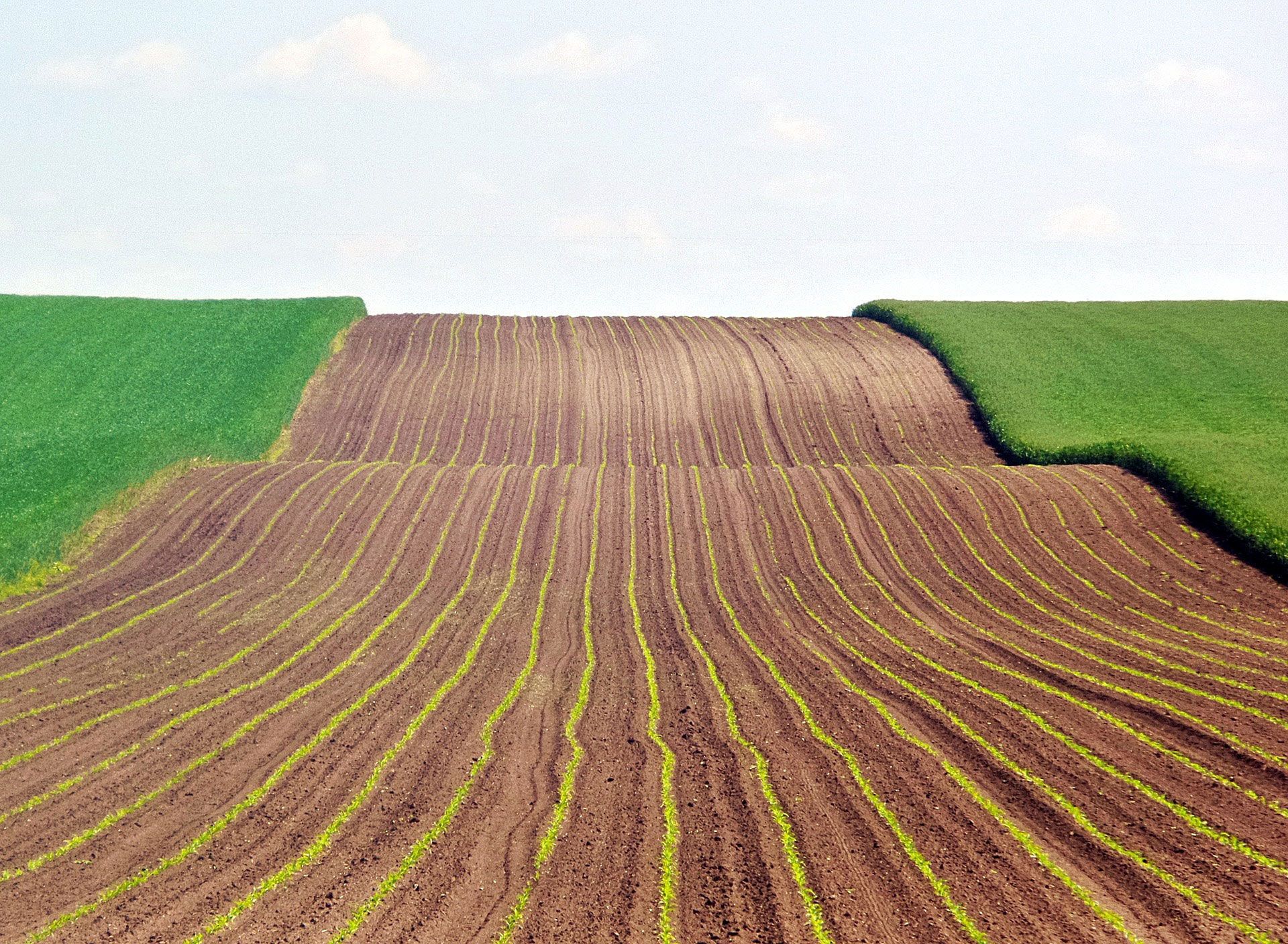 🌾 An AI analysis shows that we can stop world hunger for two percent of the US defense budget