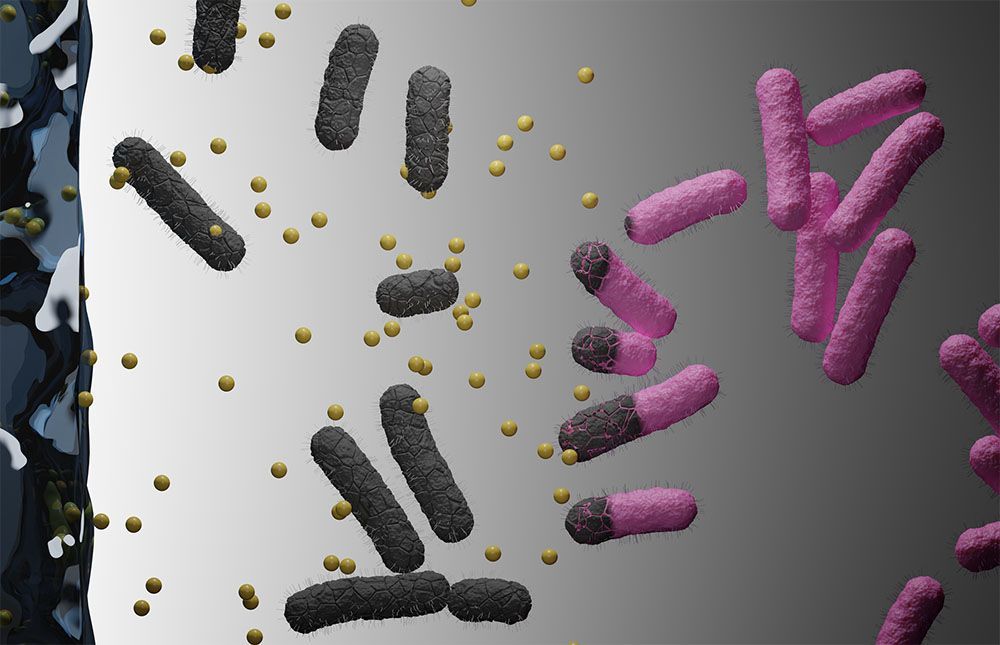 🔬 Nanoparticles can kill resistant bacteria