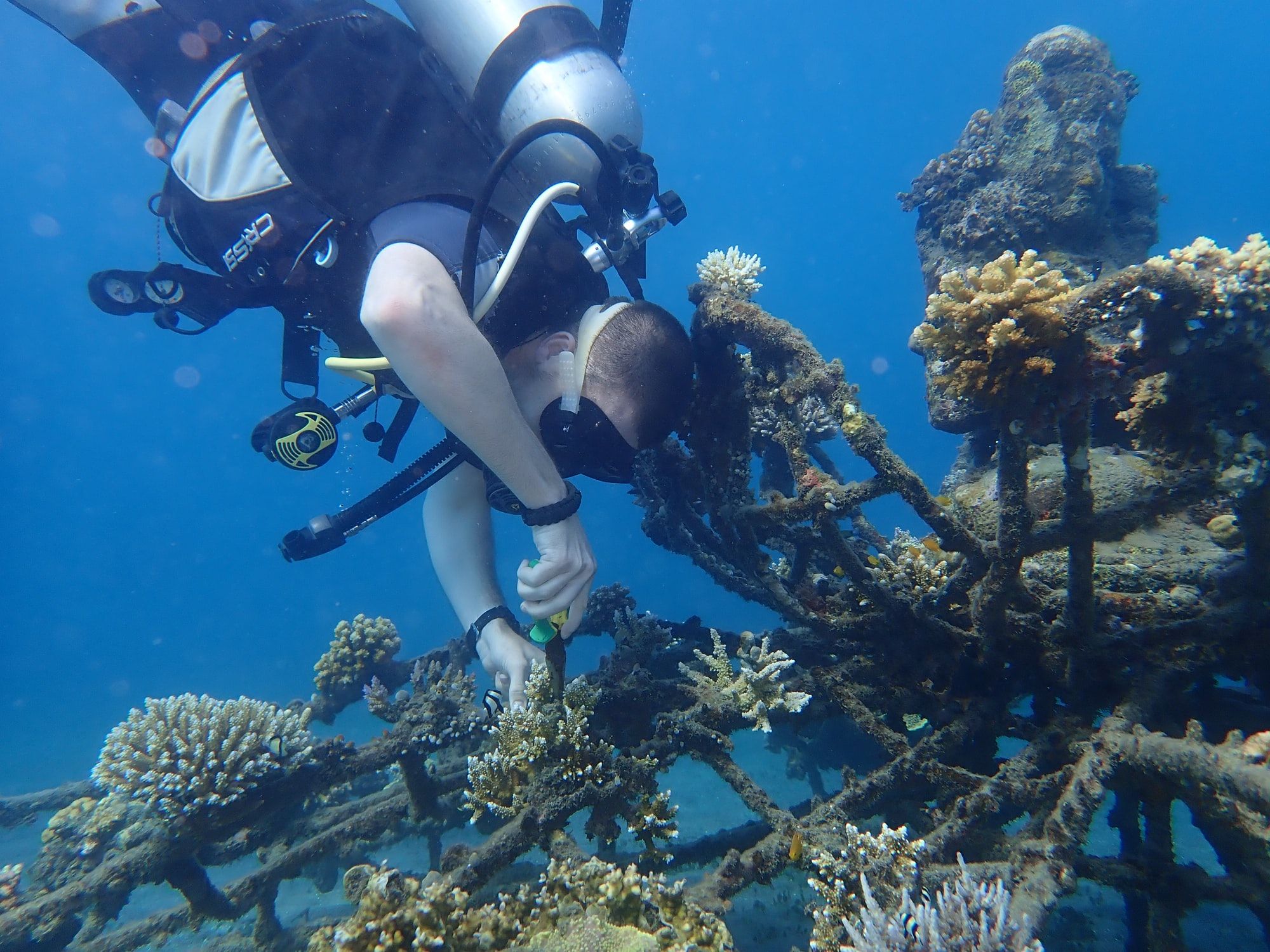 🦾 CHARM - the coral farming robot