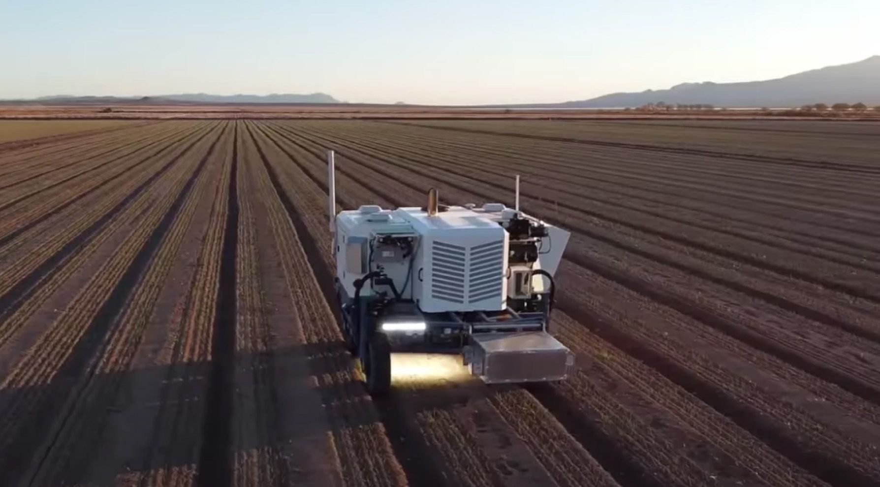 🤖 Robot defeats weed with laser