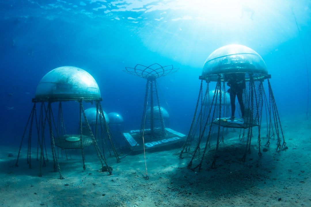 🥬 Underwater farms - the future way to grow food?