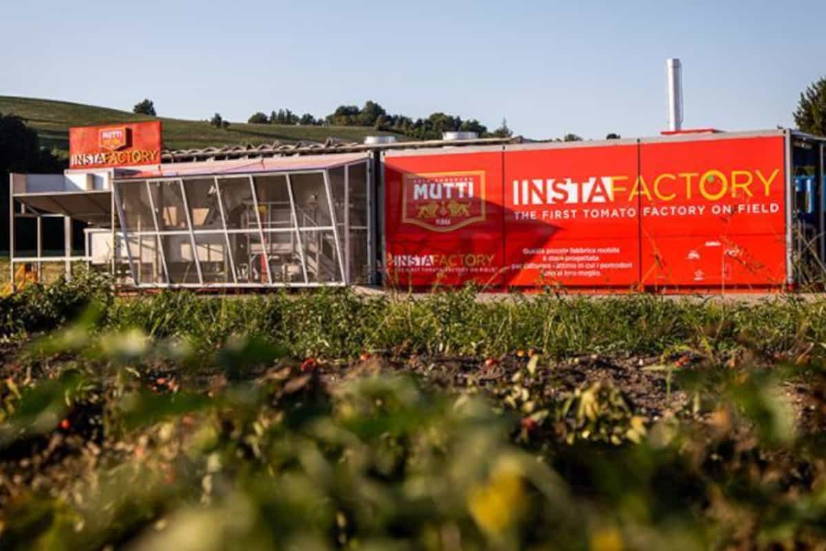 🍅 This smart factory takes local produce to the next level