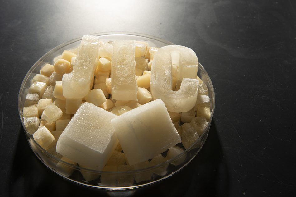 🧊 Jelly ice cubes - a sustainable solution for cold storage