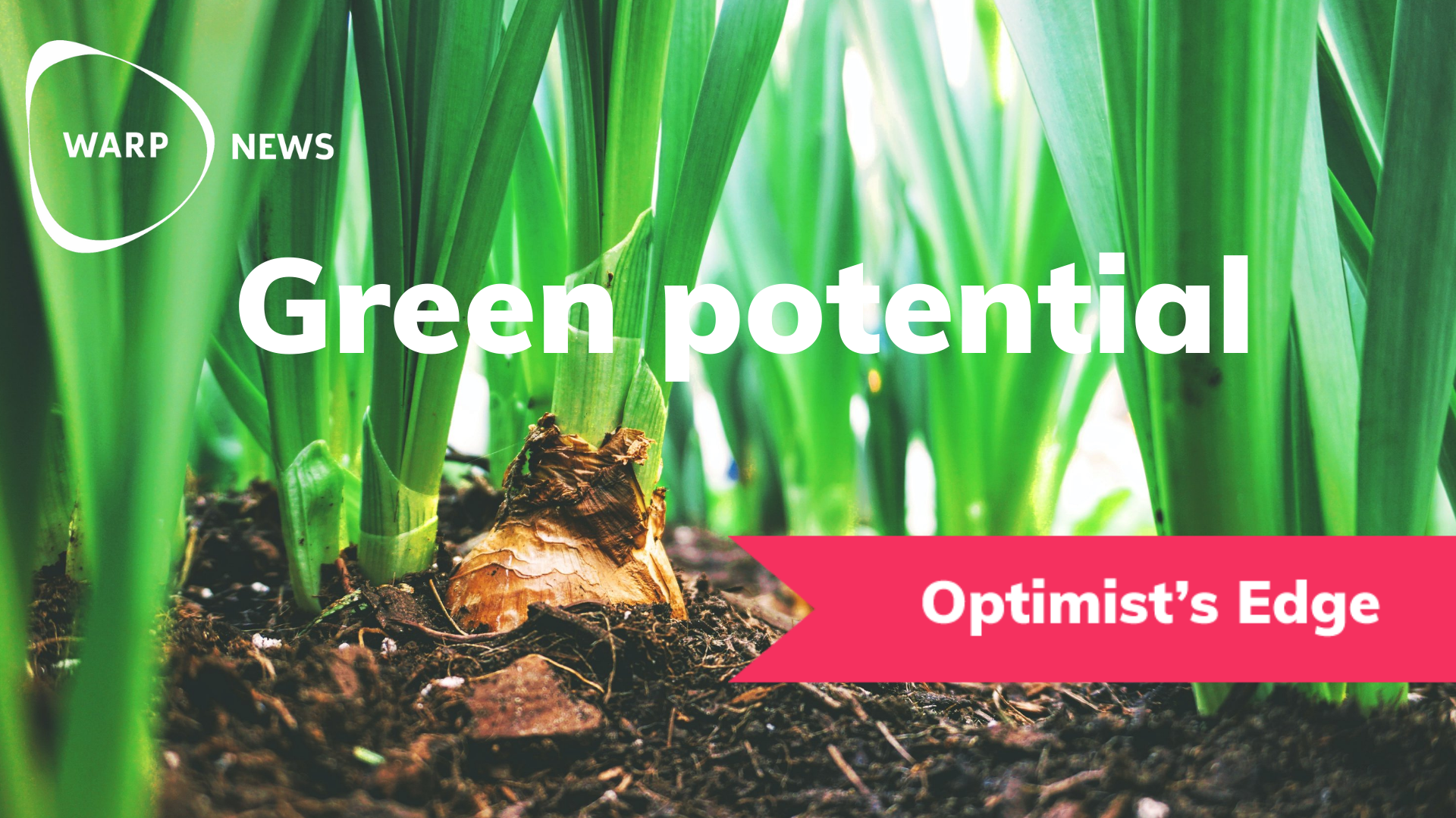 💡 Why waste could be your best investment