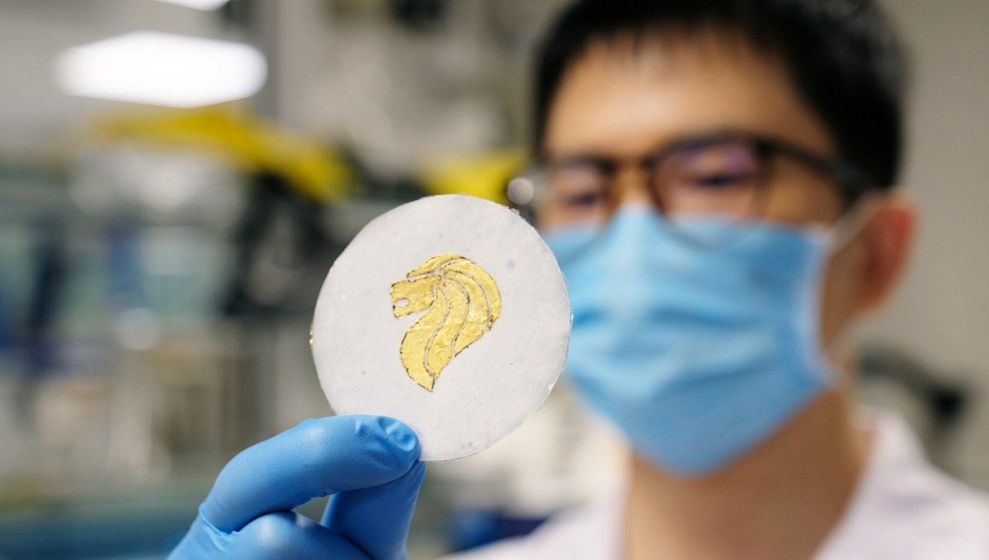 🔋 Biodegradable batteries solves e-waste