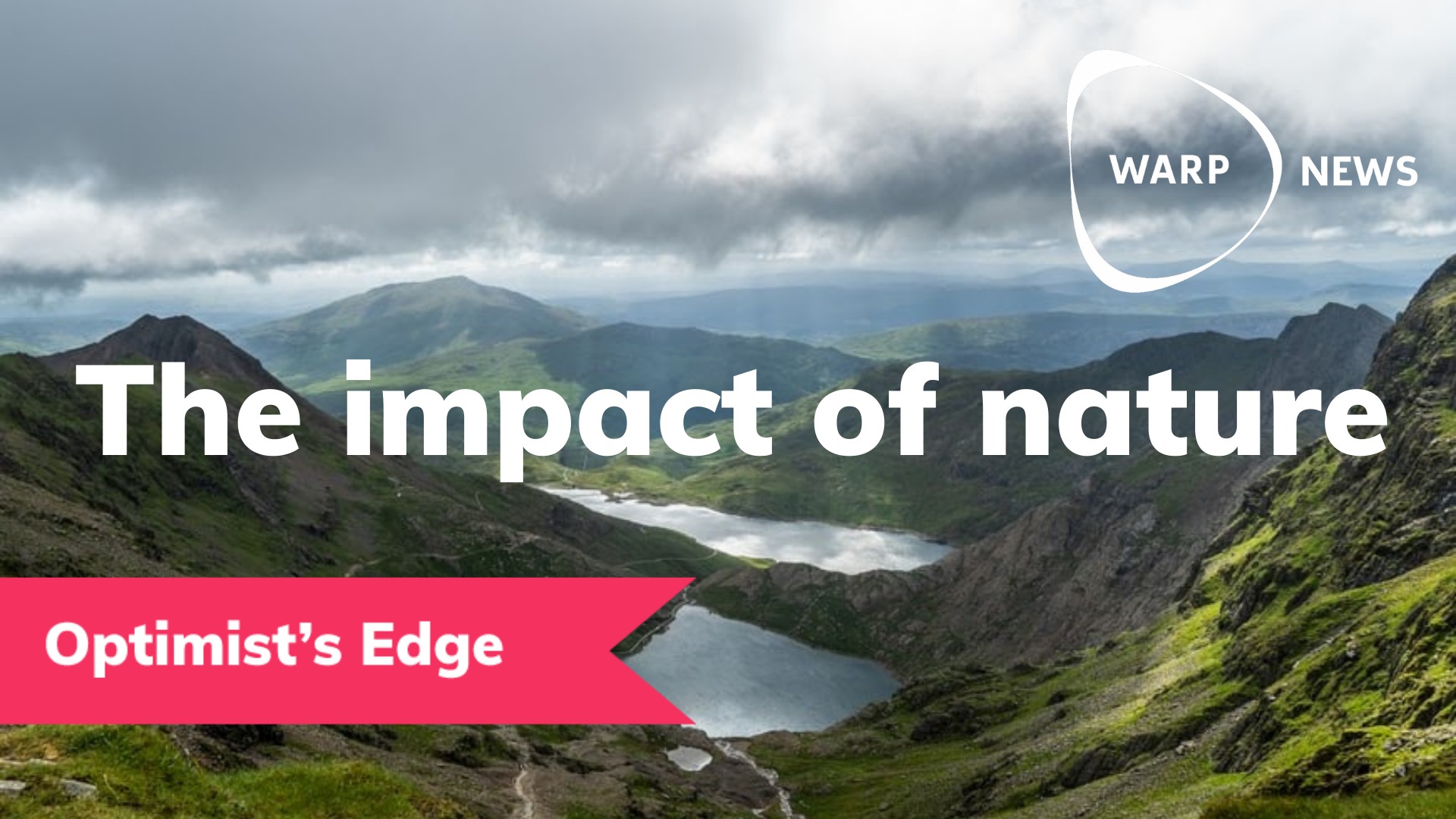 💡 Optimist's Edge: Six good reasons for protecting more nature