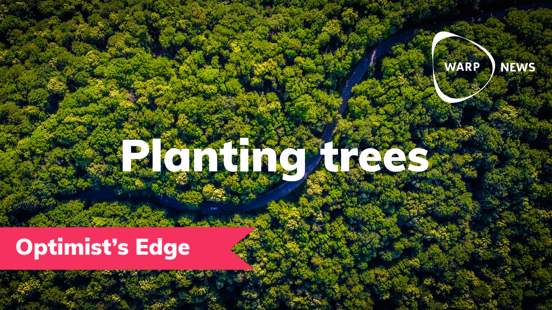 💡 Optimist's Edge: Plant a tree – and grow yourself a greener life
