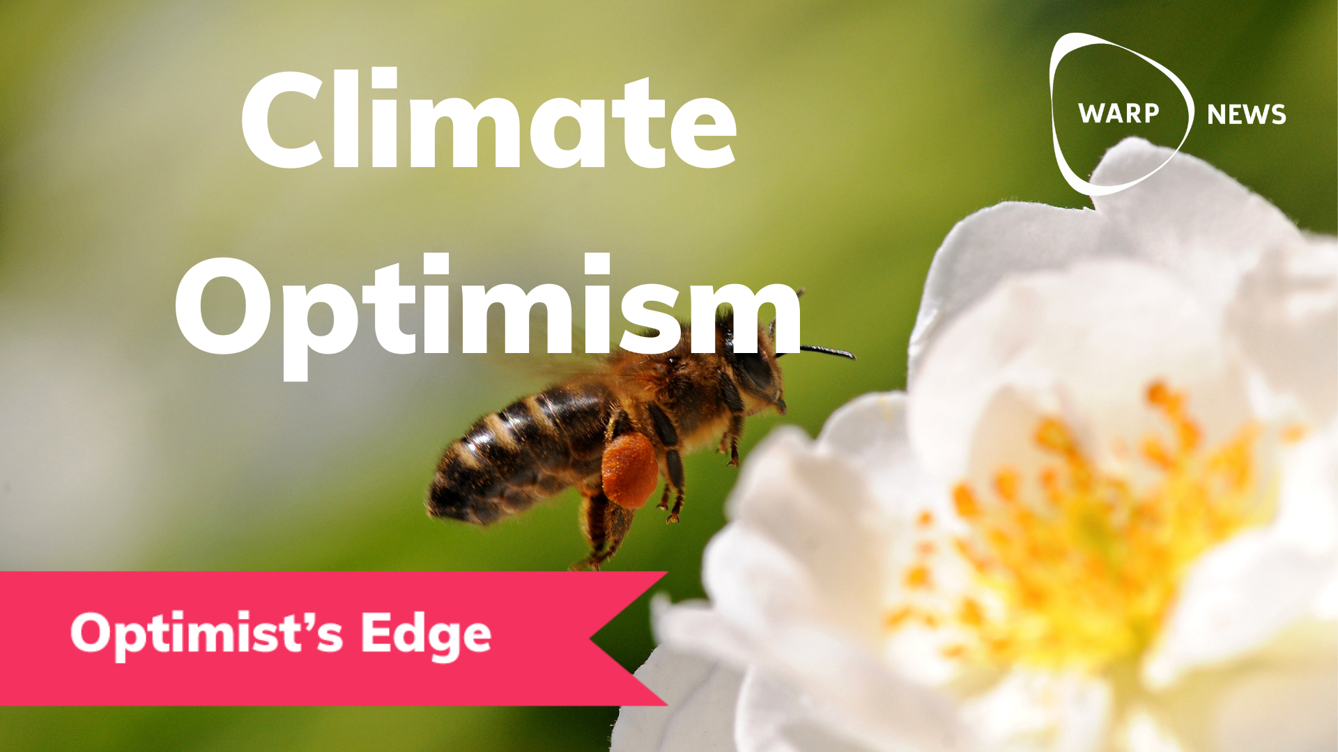 💡 Optimist’s Edge: You may be less of a climate villain than you think