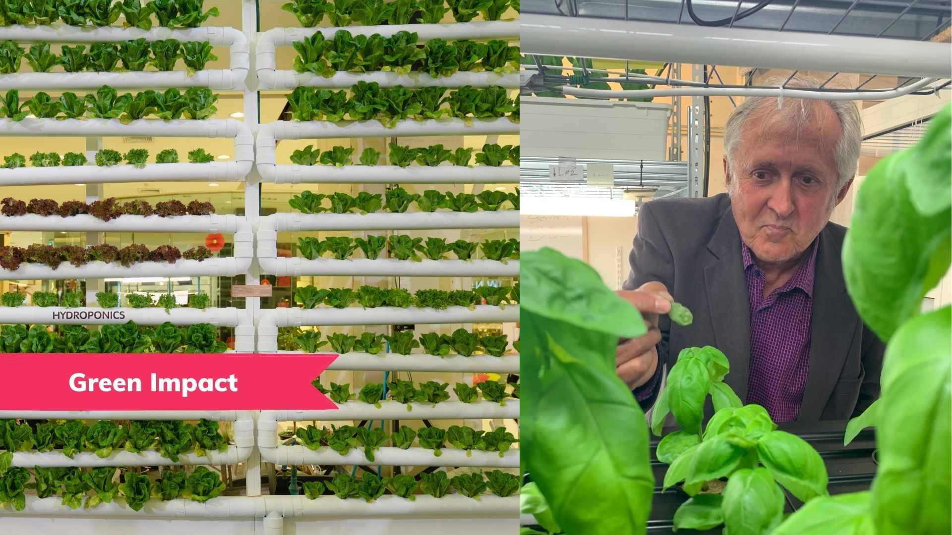 🌱 Tasting the future