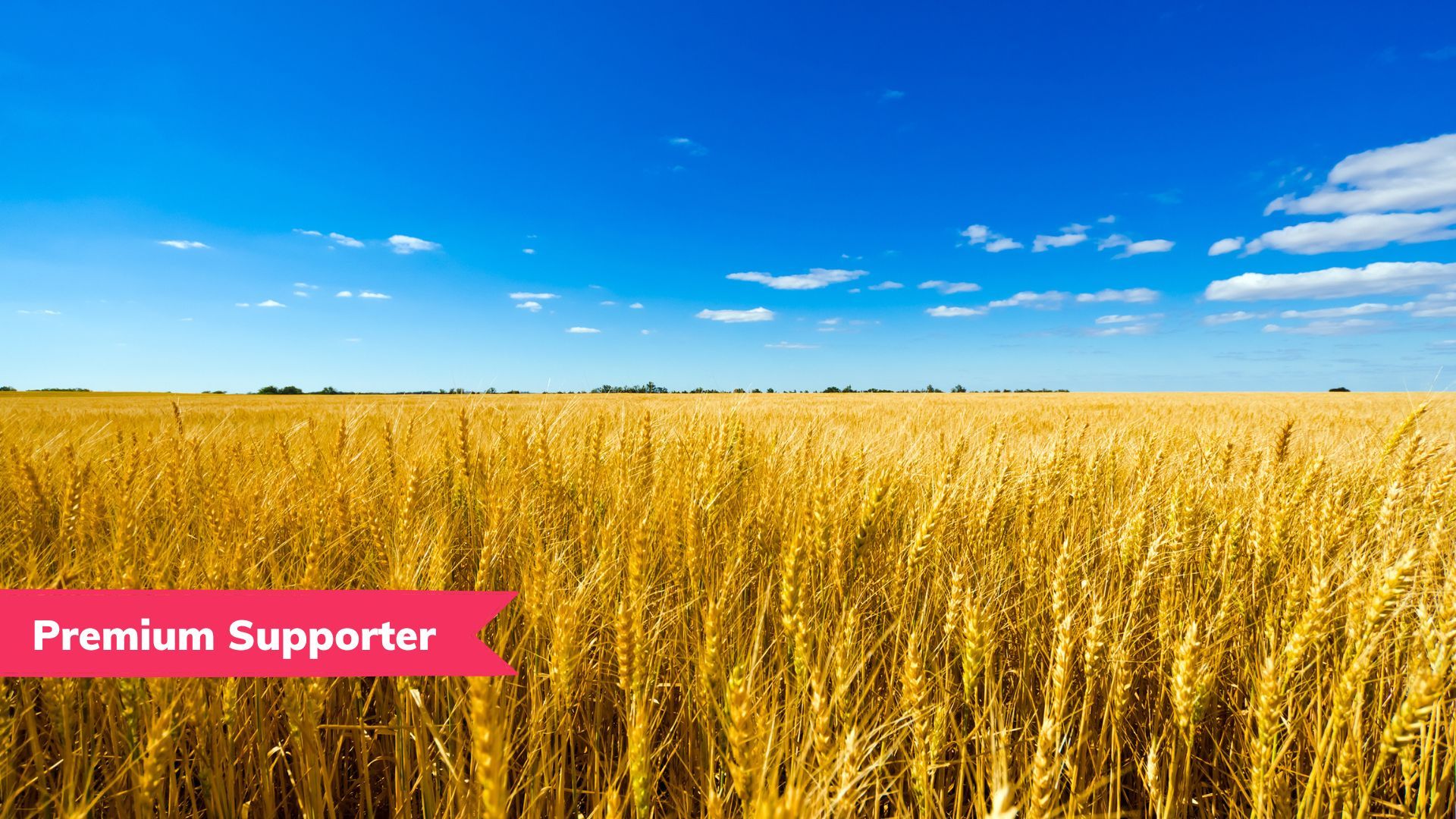 ♻️ The teenager who's changing the world and the most important debate of our time