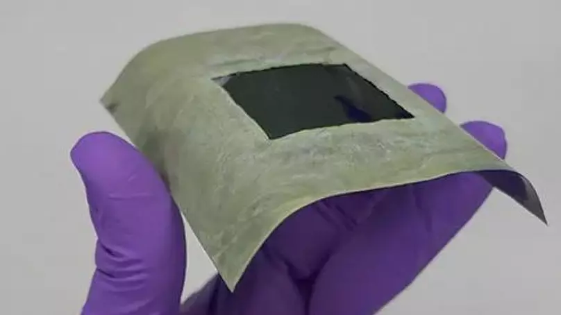 🍁 Floating leaf creates fuel from sunlight