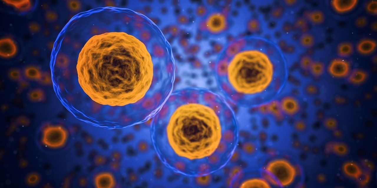 🦠 Algorithm reveals the secret of cell factories