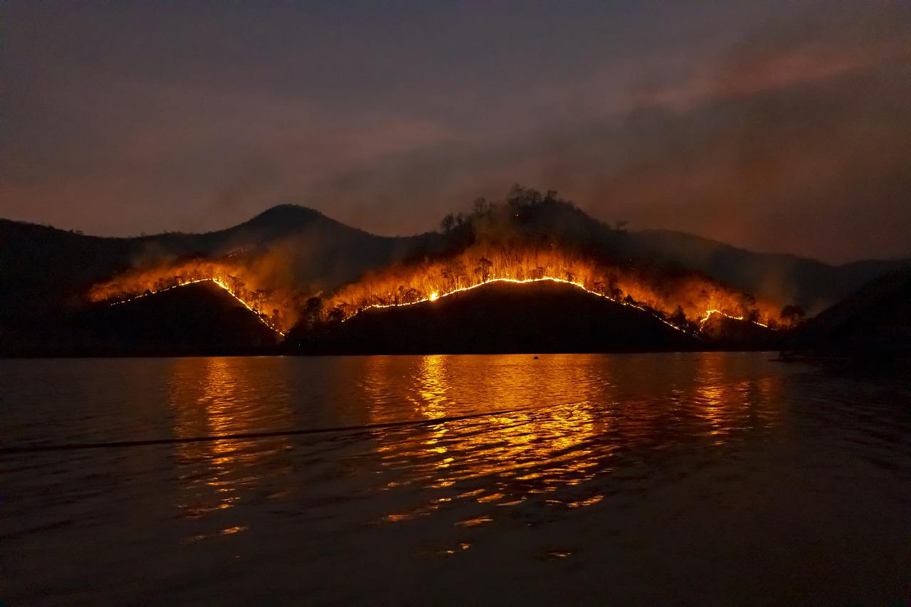 🔥 AI can halve the risk of forest fires