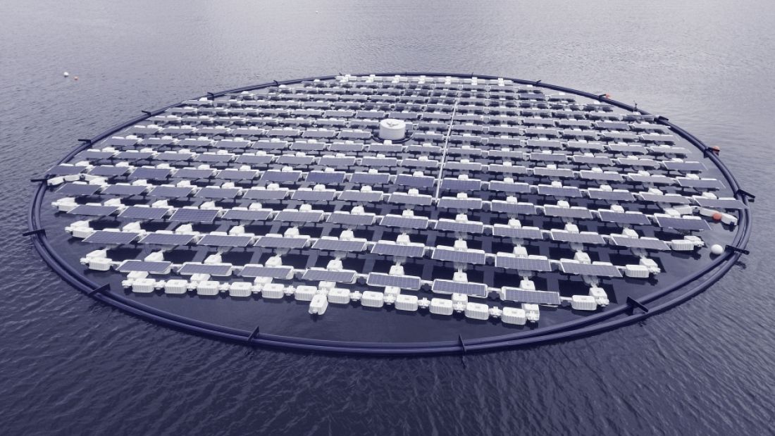 ☀️ Floating solar farm track sun's rays to absorb more energy