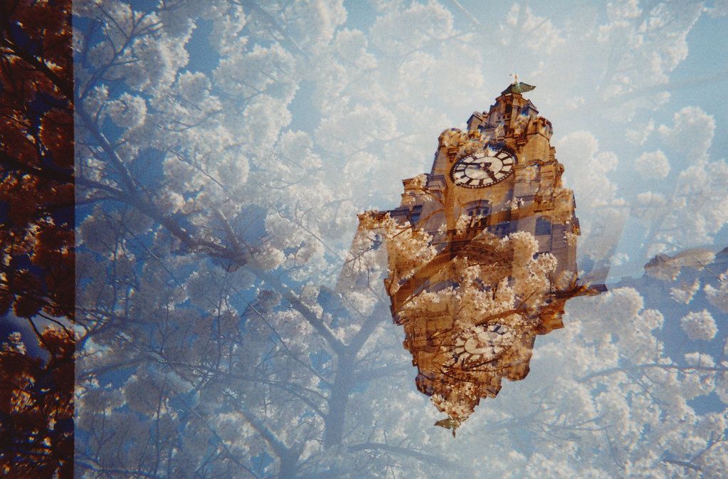 ⏱️ Ancient diseases can become modern medicine